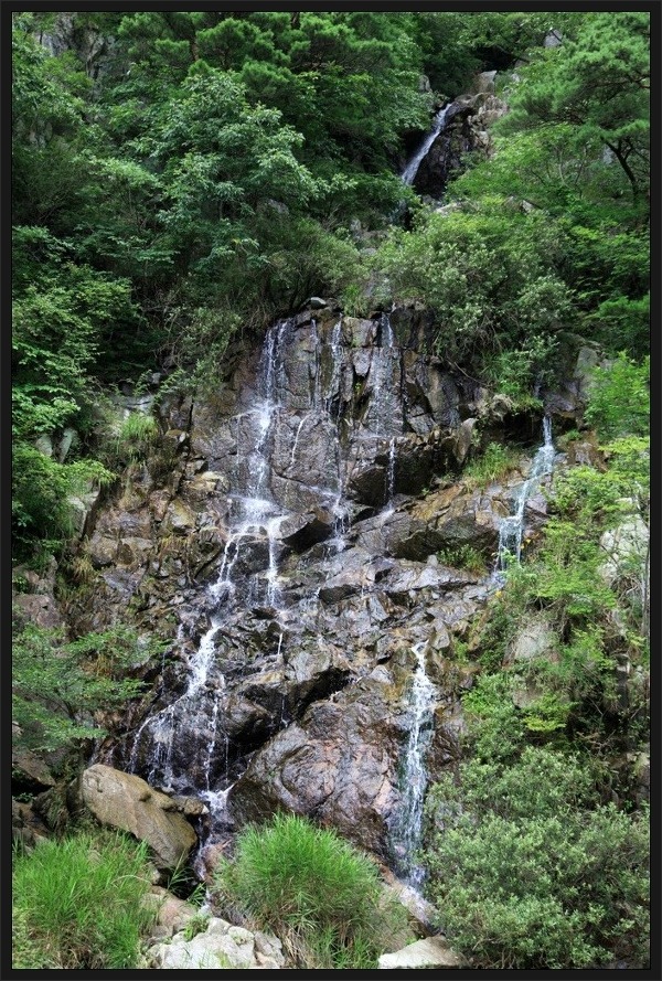 산그린 이미지