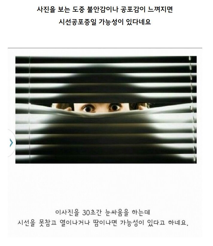 시선공포증 테스트 짤.jpg | 인스티즈