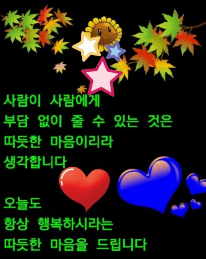 솔사랑 이미지