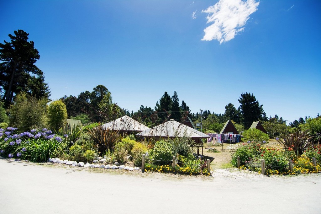 뉴질랜드 분위기.jpg | 인스티즈