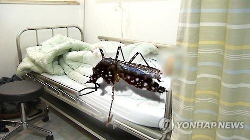 지카바이러스 다섯번째 감염자 확인 필리핀 다녀온 30대 남성 | 인스티즈