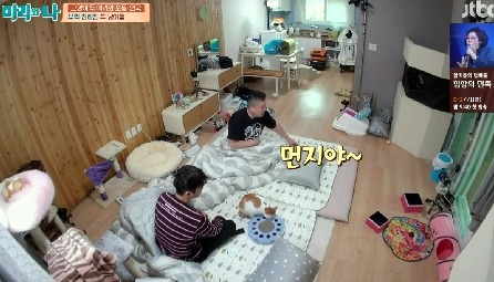 [마리와나] 뚱보냥 호동이 다이어트 시키기 (feat.먼지) | 인스티즈