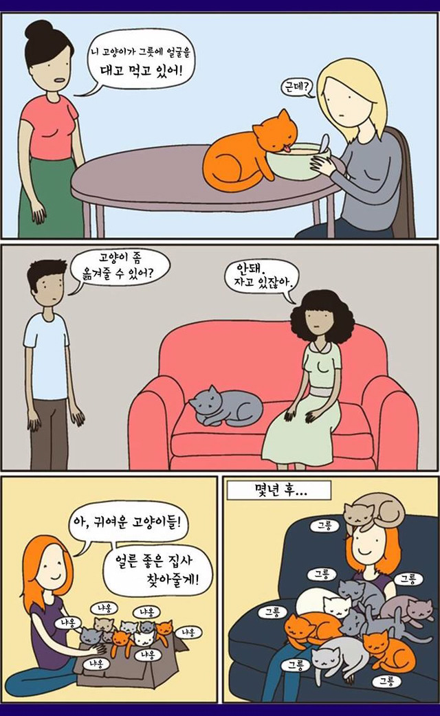 고양이 짤 | 인스티즈