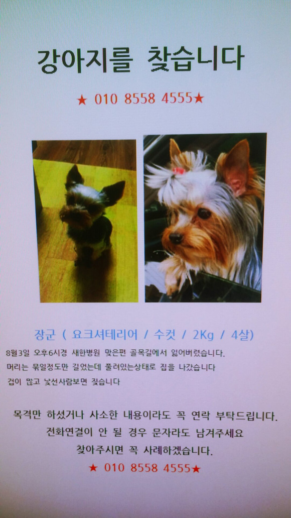 잉꼬할인마트 이미지
