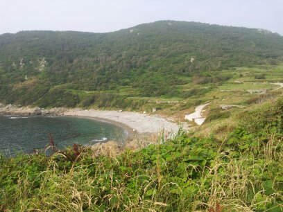 파도의숲 이미지