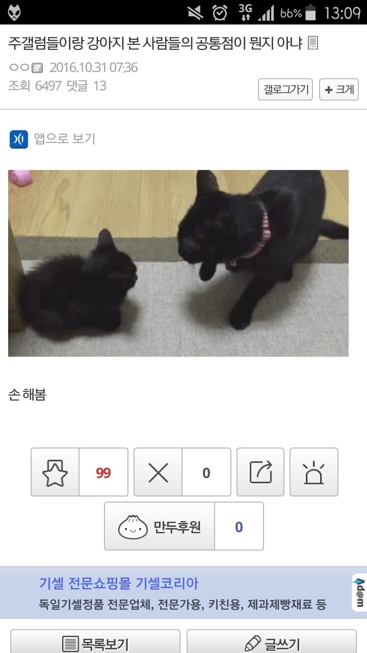 주갤럼이 말하는 주갤럼과 강아지 본 사람의 공통점 | 인스티즈