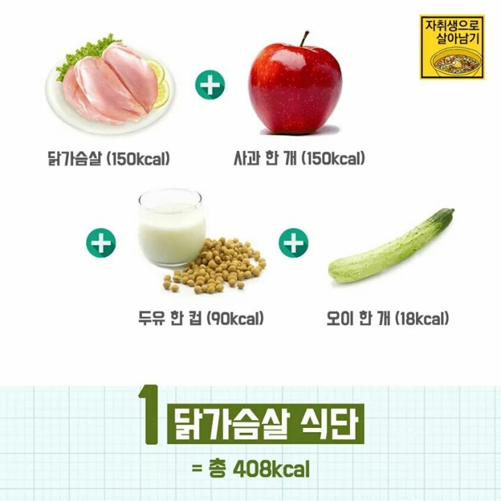 500Kcal 다이어트 식단 10가지 | 인스티즈