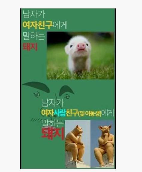 남자가 여자에게 말하는 돼지.jpg | 인스티즈