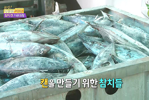 참치캔이 만들어지는 과정.jpg | 인스티즈