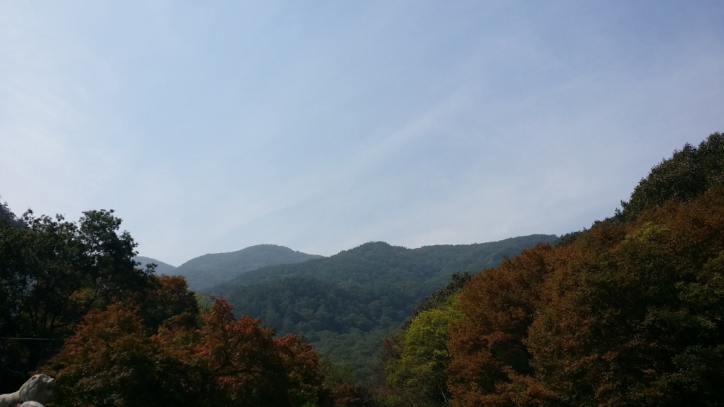 소금강모텔 이미지