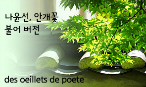 꽃잎하나 이미지