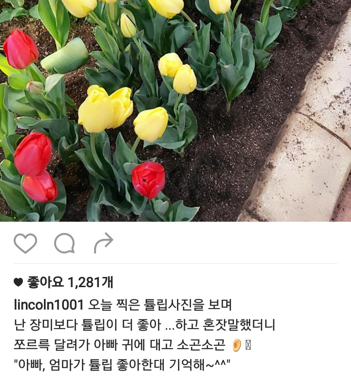 될성부를 떡잎 링컨이 (feat 스윗가이의 정석) | 인스티즈