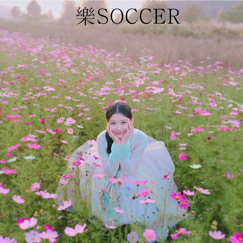 평화로운 일상 방해하기 .gif | 인스티즈