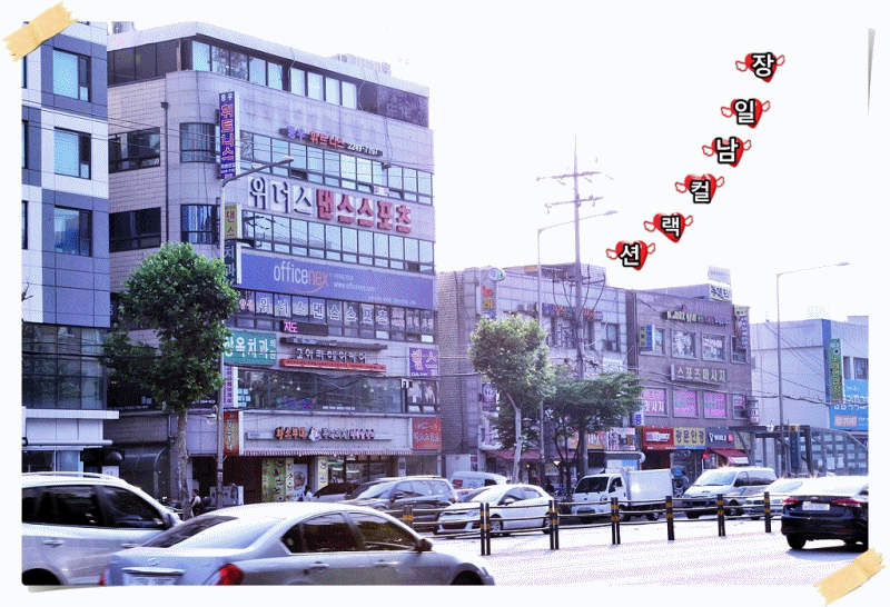 장일남컬렉션 이미지