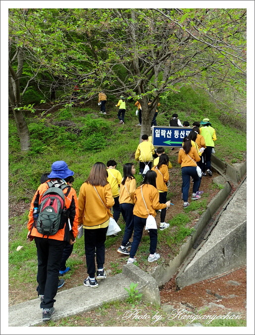 공주교육대학교부설초등학교 이미지