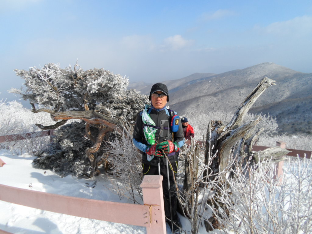 유일사 이미지