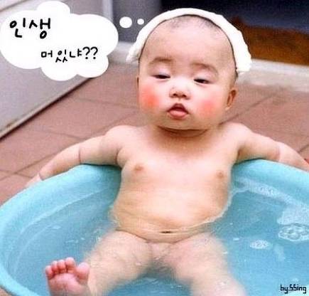 신풍 이미지