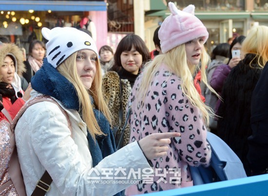 오징 이미지