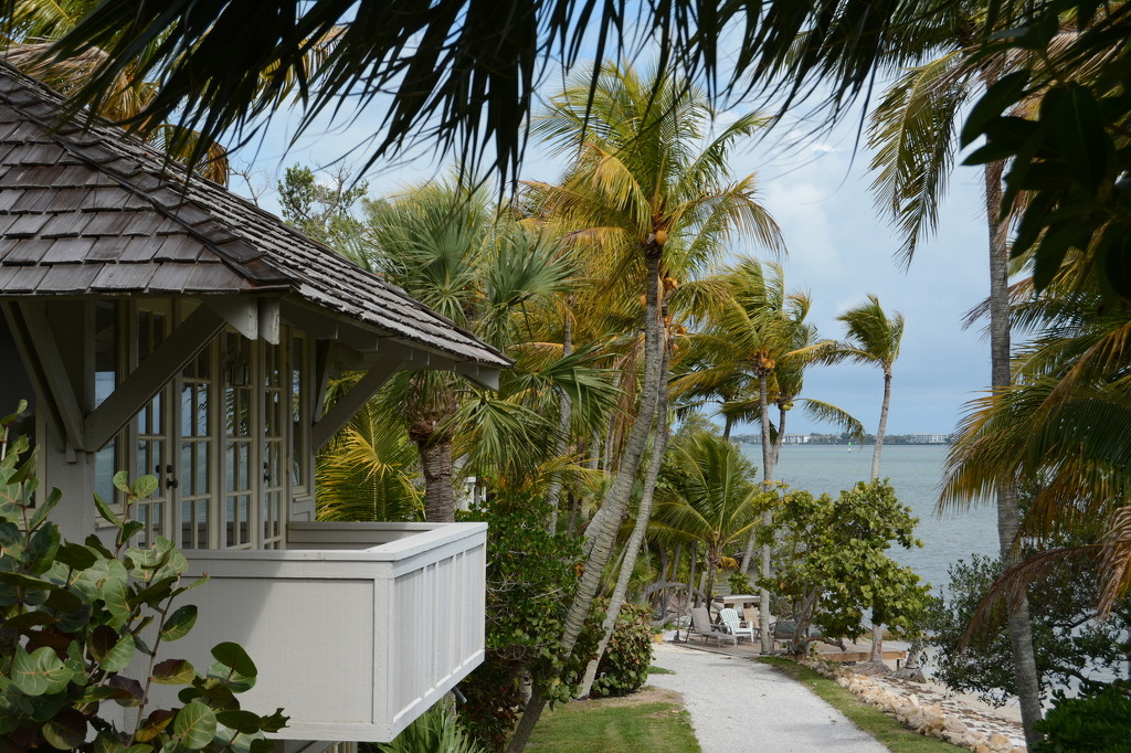 플로리다 분위기.jpg | 인스티즈