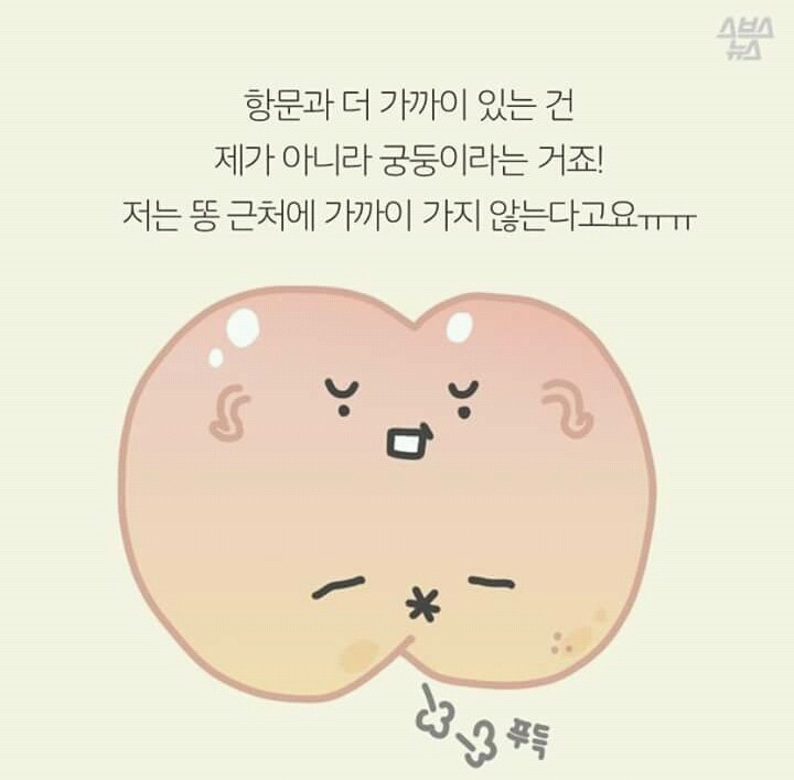 억울한 살덩이의 외침 (궁둥이와 엉덩이) | 인스티즈