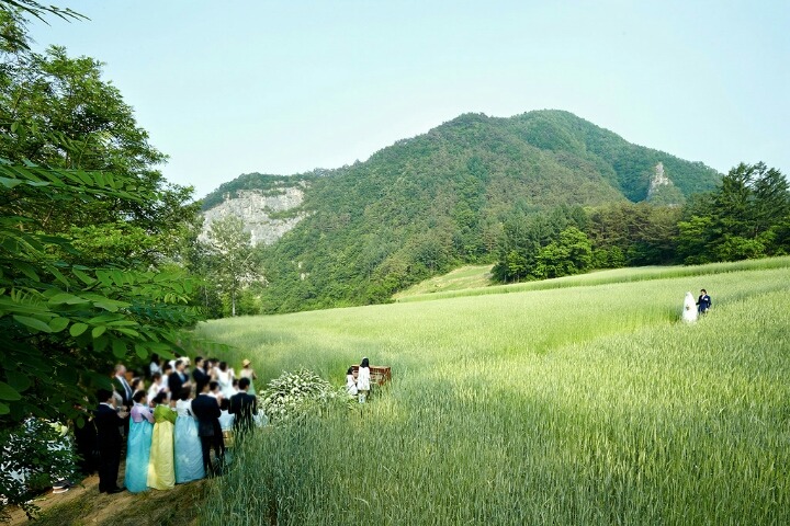 연예인 스몰웨딩 양대산맥 | 인스티즈