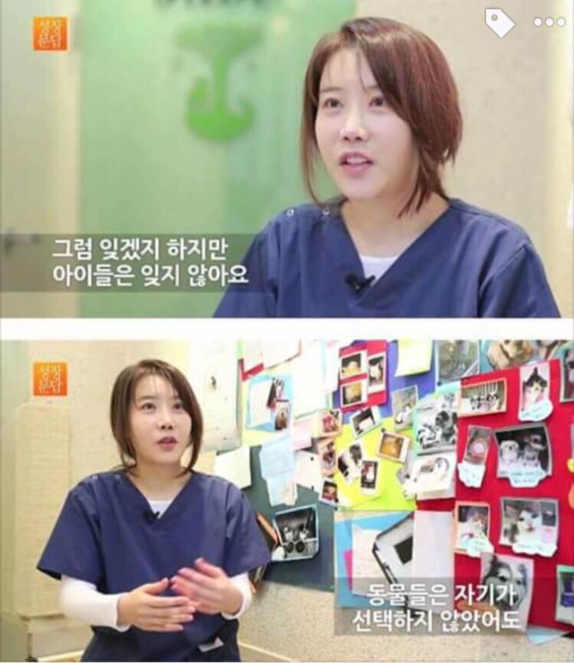 강아지나 고양이를 키우려는 사람들에게 | 인스티즈