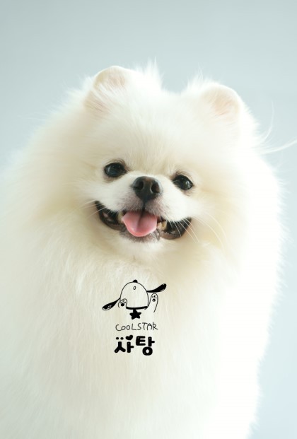 솜사탕 이미지