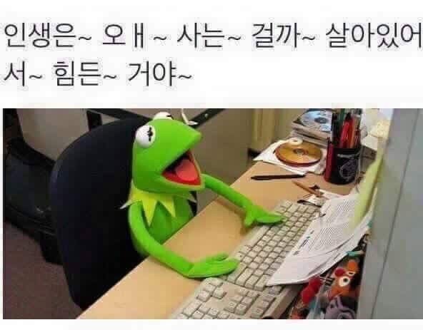 인생이 짜증날때 보면 좋은 짤 모음.jpg | 인스티즈