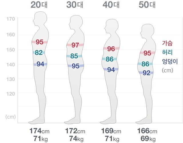 한국인 평균 체형 | 인스티즈