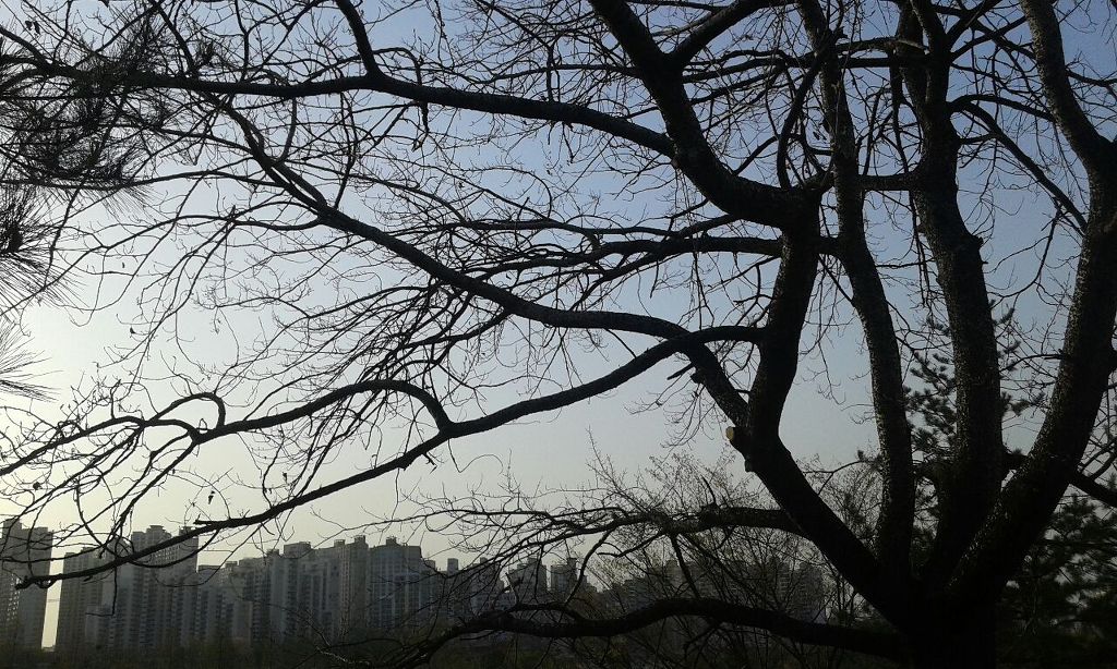 백양산업 이미지