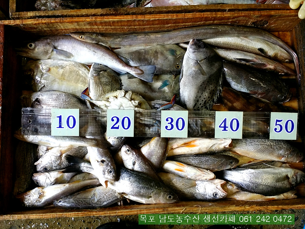 보교기획 이미지