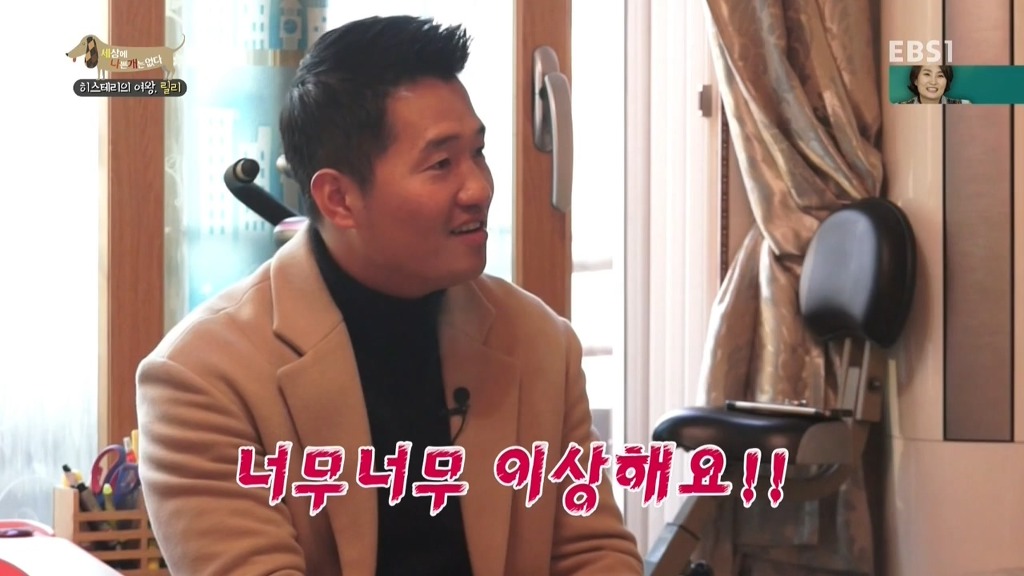 [세상에나쁜개는없다] 가족들에게 짖고 무는 강아지 릴리햏 | 인스티즈