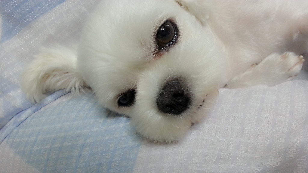 정다운마트 이미지