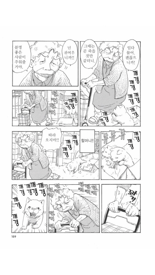 개를 주워오면 안되는 이유 | 인스티즈