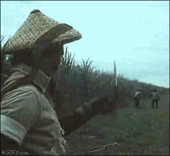 발리우드 영화 클래스.gif | 인스티즈