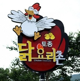 힐링투어여행 이미지