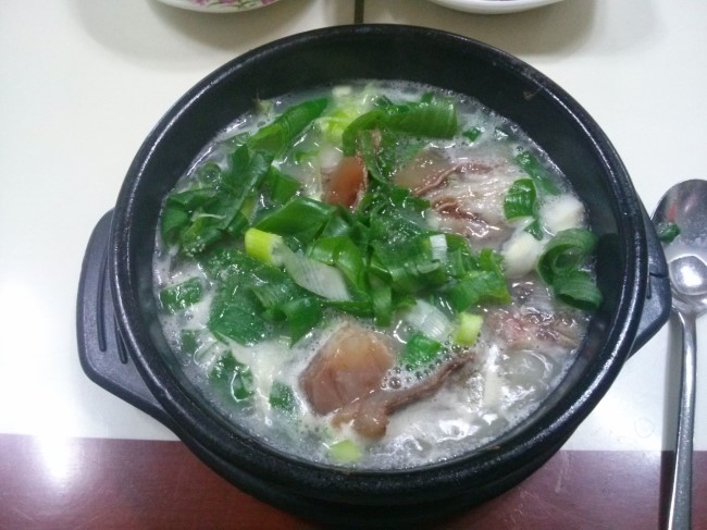 Daum카페