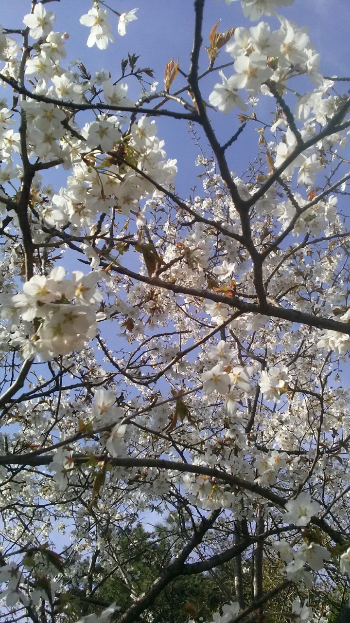 소꼽친구 이미지
