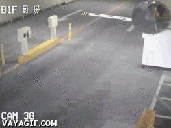 내가 1등이다~!! | 인스티즈