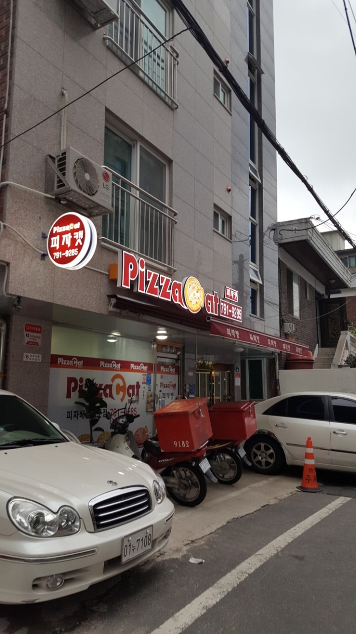 피자캣 이미지