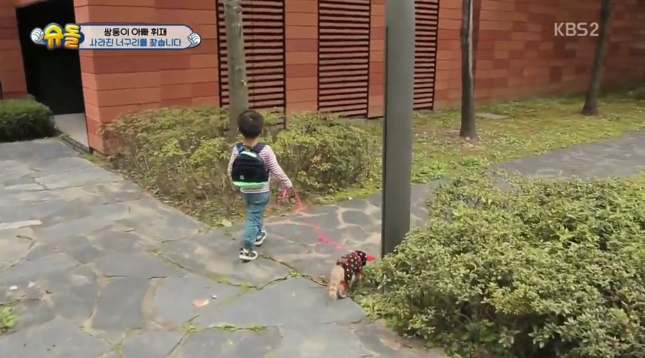 서언이 서준이 보면서 놀란 아이들의 감정 | 인스티즈