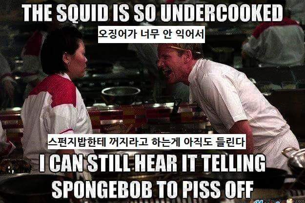 고든램지 어록모음.jpg | 인스티즈