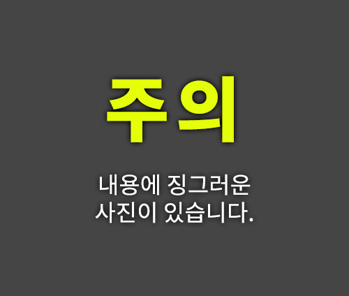 많이 섬뜩한 동충하초의 비밀(feat.포켓몬스터 동심파괴) | 인스티즈