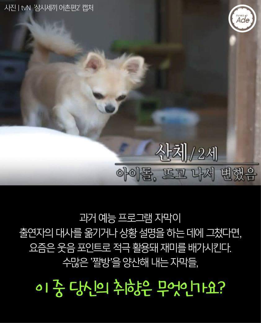 당신의 예능 자막 취향은? | 인스티즈