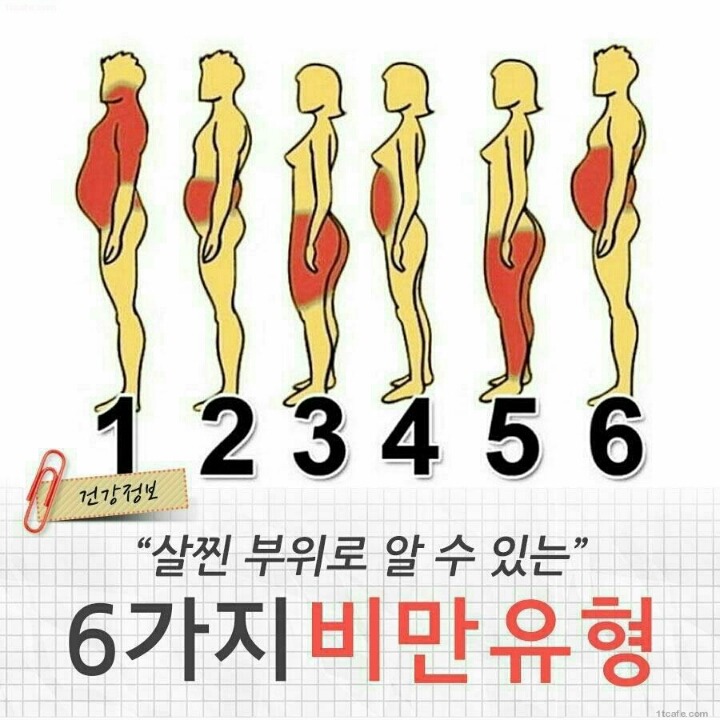 살이 찌는 부위 별 이유 | 인스티즈