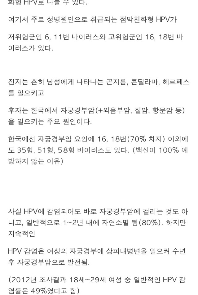 자궁경부암 제대로 알고 건강한 섹스하자 | 인스티즈