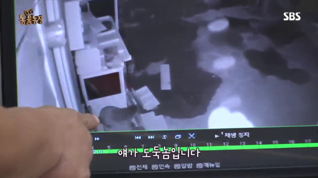 물고기아저씨 이미지