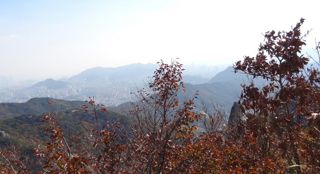 금강원 이미지