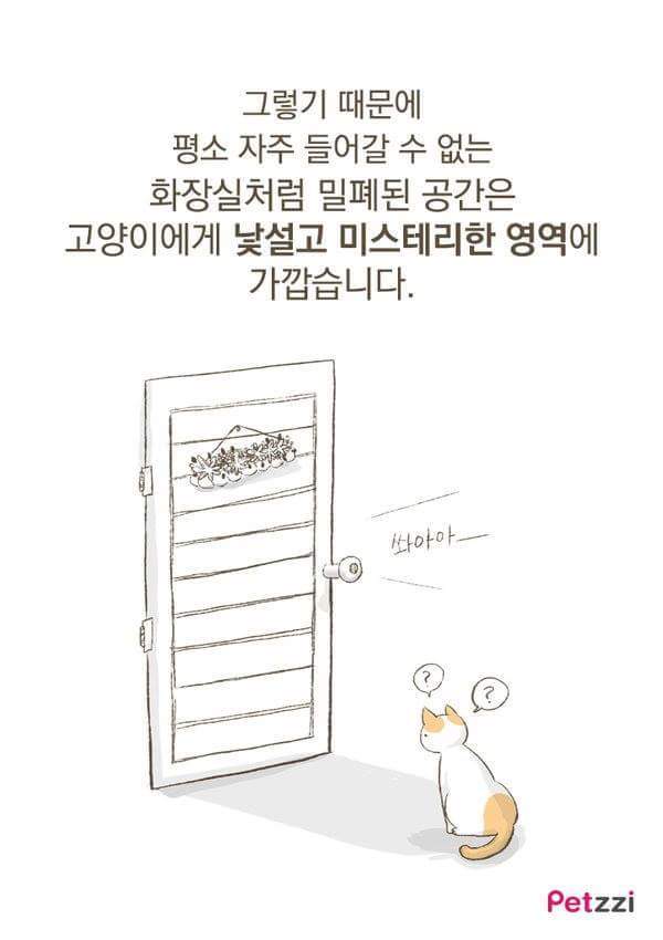 고양이가 화장실 앞에서 기다리고있는 이유(만화).jpg | 인스티즈