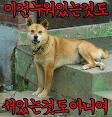 복 이미지